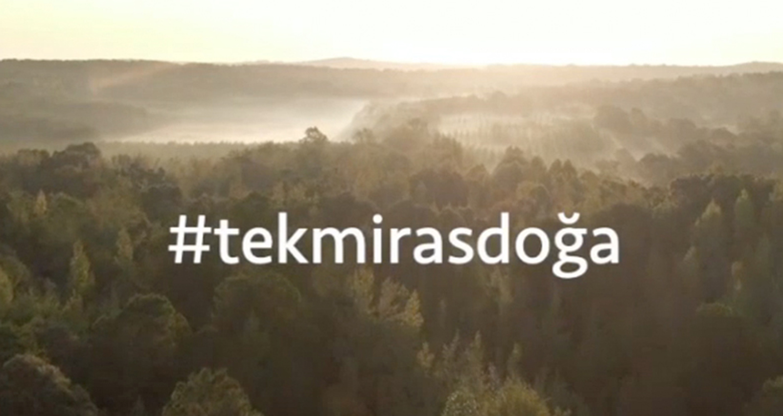 Tekmirasdoga 1600X850px